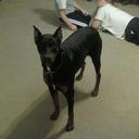 Kris Watson - @kw24fan - Twitter