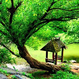 Amazing__Places's profile picture. This planet has so much to offer that most of us are not even aware of, why not share with us a place that's special to you? hiddengemsanonymous@gmail.com