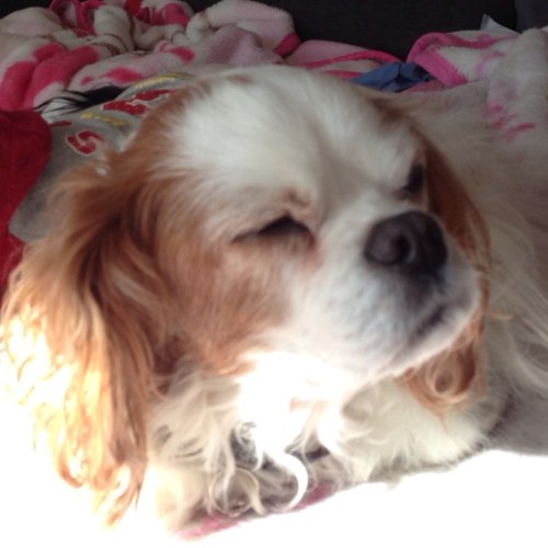 crea9225's profile picture. 