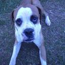 Ethan Lance Childers - @EthanChilders07 - Twitter