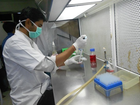 Postdoctoral Associate at UTHSC