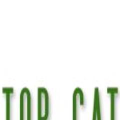 TopCatOnline1's profile picture. 