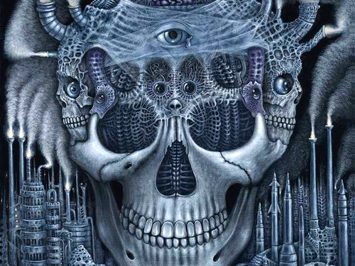 LauraLauratckr's profile picture. 