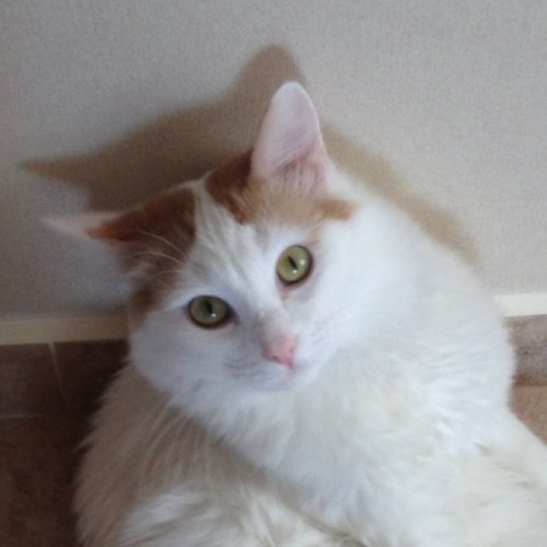 hacktool97's profile picture. 