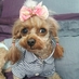 공더기 (@kongdougie) Twitter profile photo