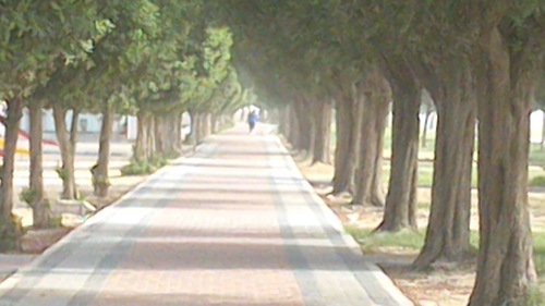 AAgele's profile picture. ‏النّظر إلى ما في أيدي الآخرين
يُفسد علينا متعة الاستمتاع بما في أيدينا !
.