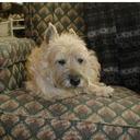 Jennifer Brough - @JennBrough - Twitter