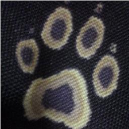 kapibarasansanさんのプロフィール画像