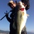 chanoha173's profile image