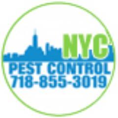 Family-owned and operated company out of Brooklyn. We specialize in Bed Bugs, ensuring you that our services last long after we've finished the job.