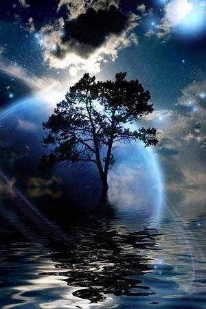 honoka_z's profile picture. 