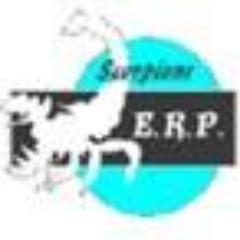 ERPISAWESOME's profile picture. 