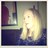 lizlambjourno's profile image