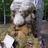 CarltonWolfe's profile image