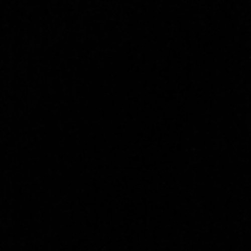 ZieZooPijnacker's profile picture. 