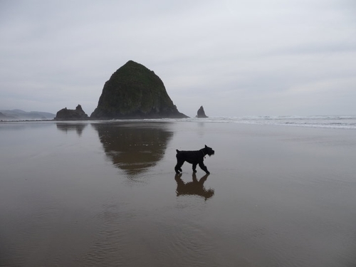 BradyWilson89's profile picture. Helping families build and protect wealth in real estate.