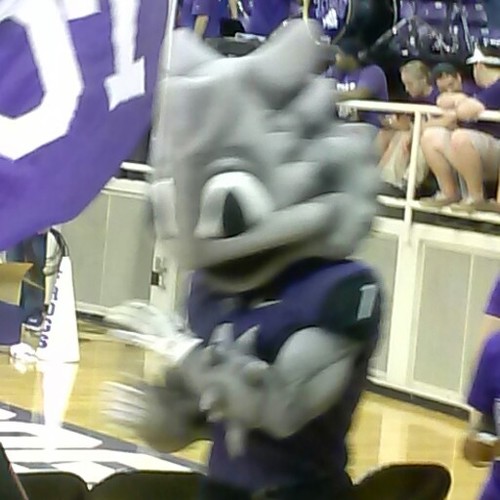 promowrkbizz's profile picture. Wrkin hard