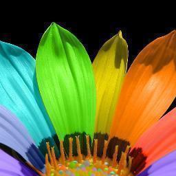 tezzuja's profile picture. 