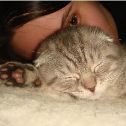 KareliaNext's profile picture. наблюдатель