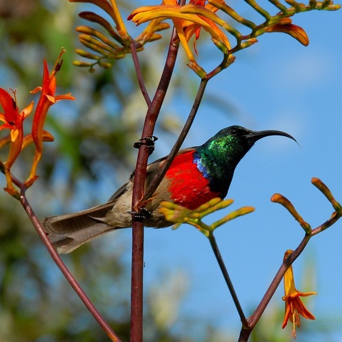 Wilyfcai's profile picture. 