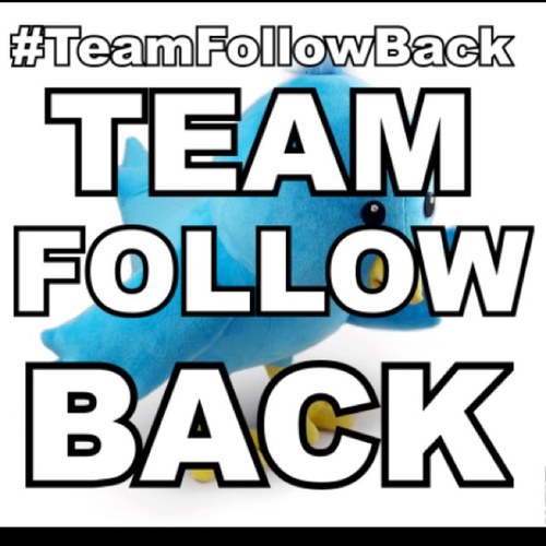 Follow for follow