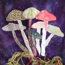 Daniel Henk - @Basidiobolus - Twitter