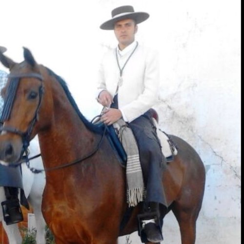Si te lo an contando eres betico  y si lo as vivido eres sevillista
