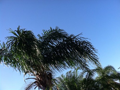 heardt87's profile picture. 