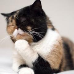 MDK18plus's profile picture. 