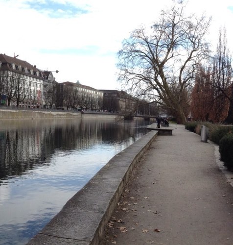 mjestes's profile picture. 