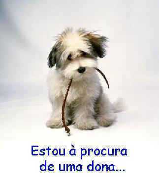 sou de araras sp tenho 32 anos