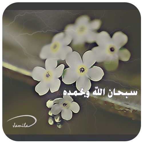 ..لا اله الا أنت سبحانك اني كنت من الظالمين .. طيبة الطيبة €