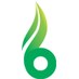 Indoor-Botanics (@indoorbotanics) Twitter profile photo