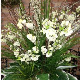 fleurdelisny1's profile picture. We are located in the Historical Village of Skaneateles, NY and specialize in wedding venues, designed with love and beauty for your special day.