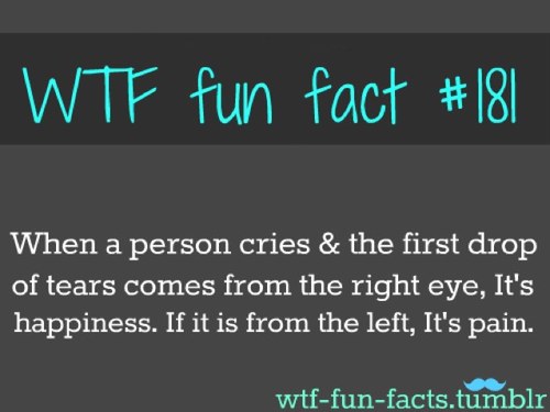 WtfactsFacts's profile picture. 
