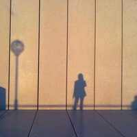 Mark P O'Connor (@mmppoconnor) 's Twitter Profile