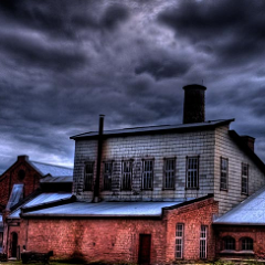 tosolsen's profile picture. LETS GO DRINK DRUNK