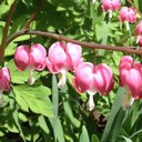 kelly damron - @kell_bug - Twitter