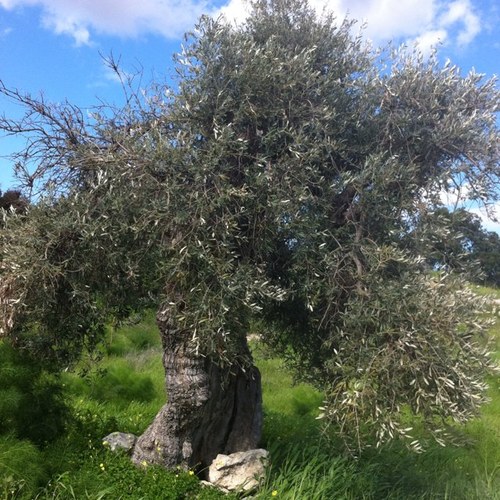 badrobot71's profile picture. 