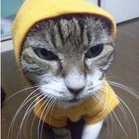 小嶋貴之「帰ってこなかった男」横浜シネマジャック&ベティにて劇場公開中!! (@kozyman313) 's Twitter Profile Photo 小嶋貴之「帰ってこなかった男」横浜シネマジャック&ベティにて劇場公開中!! (@kozyman313) 's Twitter Profile Photo