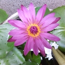 kenneth.chen - @kennethchen4 - Twitter