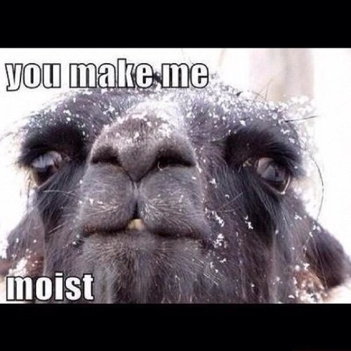 funnyposts069's profile picture. Daily dose of funny shit