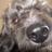 Profile Picture of Bill N Martha Beller (@@markelnbilbert) on Twitter
