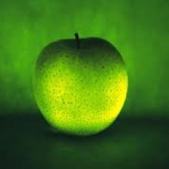 Grow your business with SearchOptimisation. Your webpage wants us! Contact ninette: ninette.fruitymedia@gmail.com
