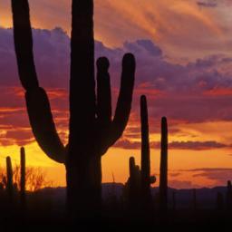 Association of Fundraising Professionals Southern Arizona Chapter