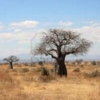 Ch Boisbouvier (@chboisbouvier) 's Twitter Profile