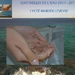 SENTINELLESDELE's profile picture. 