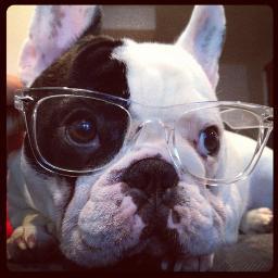 World's Most Followed Bulldog! Bacon loving, sink napping, philanthro-PUP, and now author! Get my book out NOW! 
https://t.co/tWA1wqg3pN
