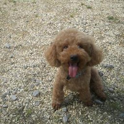 夢見るゆーゆ A Twitter 美韓 リュ シウォンに投票完了 現在の得票数 42票 リュ シウォン ずっと一緒だよ 人気投票はこちらから T Co Uzbwcpszoz リュ シウォン Ryusiwon 류시원 リュ シウォン からのメッセージ
