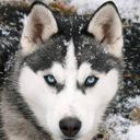 Terry Schulz - @wildjoker34 - Twitter